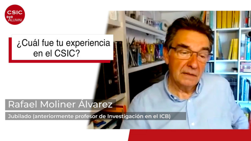 Entrevista a Rafael Moliner Álvarez